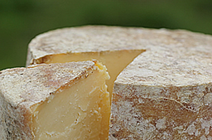 dunlop cheese
