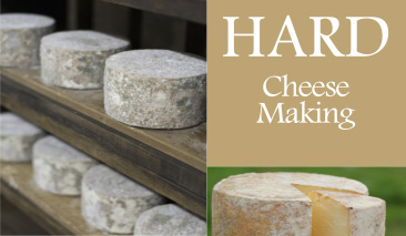 Dunlop hard cheesemaking